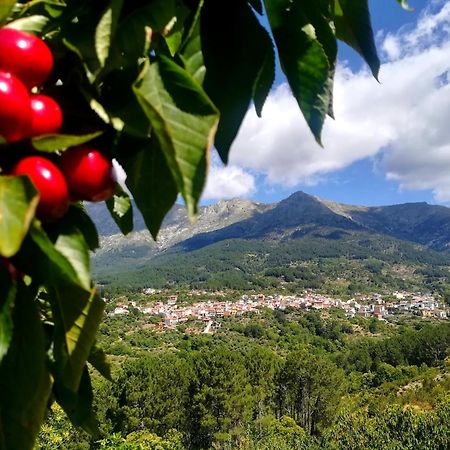 Albareilla By #Cherrygredos El Arenal  Esterno foto