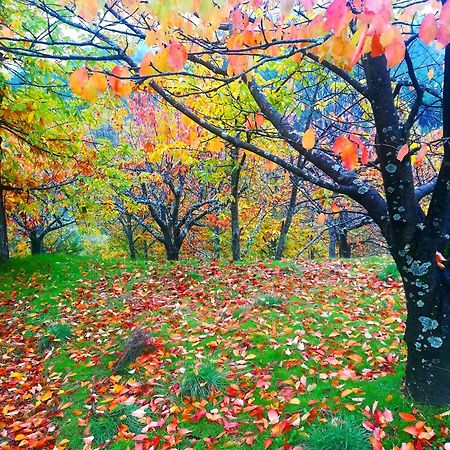 Albareilla By #Cherrygredos El Arenal  Esterno foto