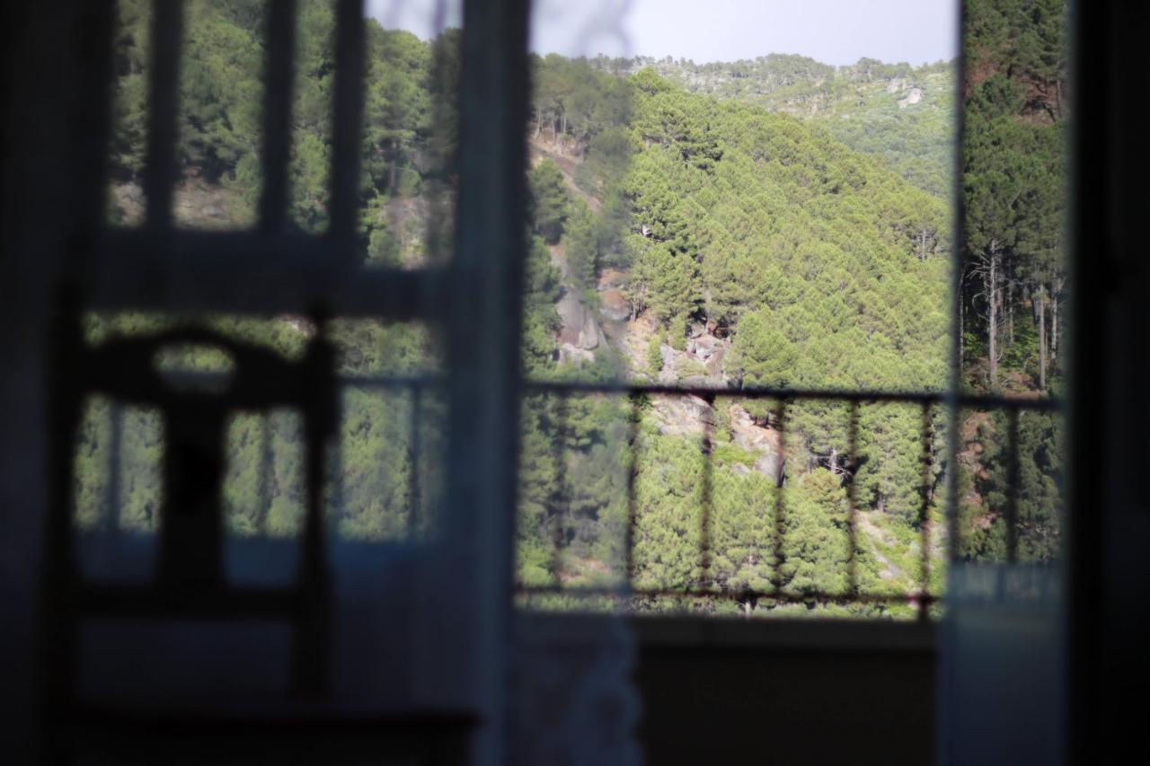 Albareilla By #Cherrygredos El Arenal  Esterno foto
