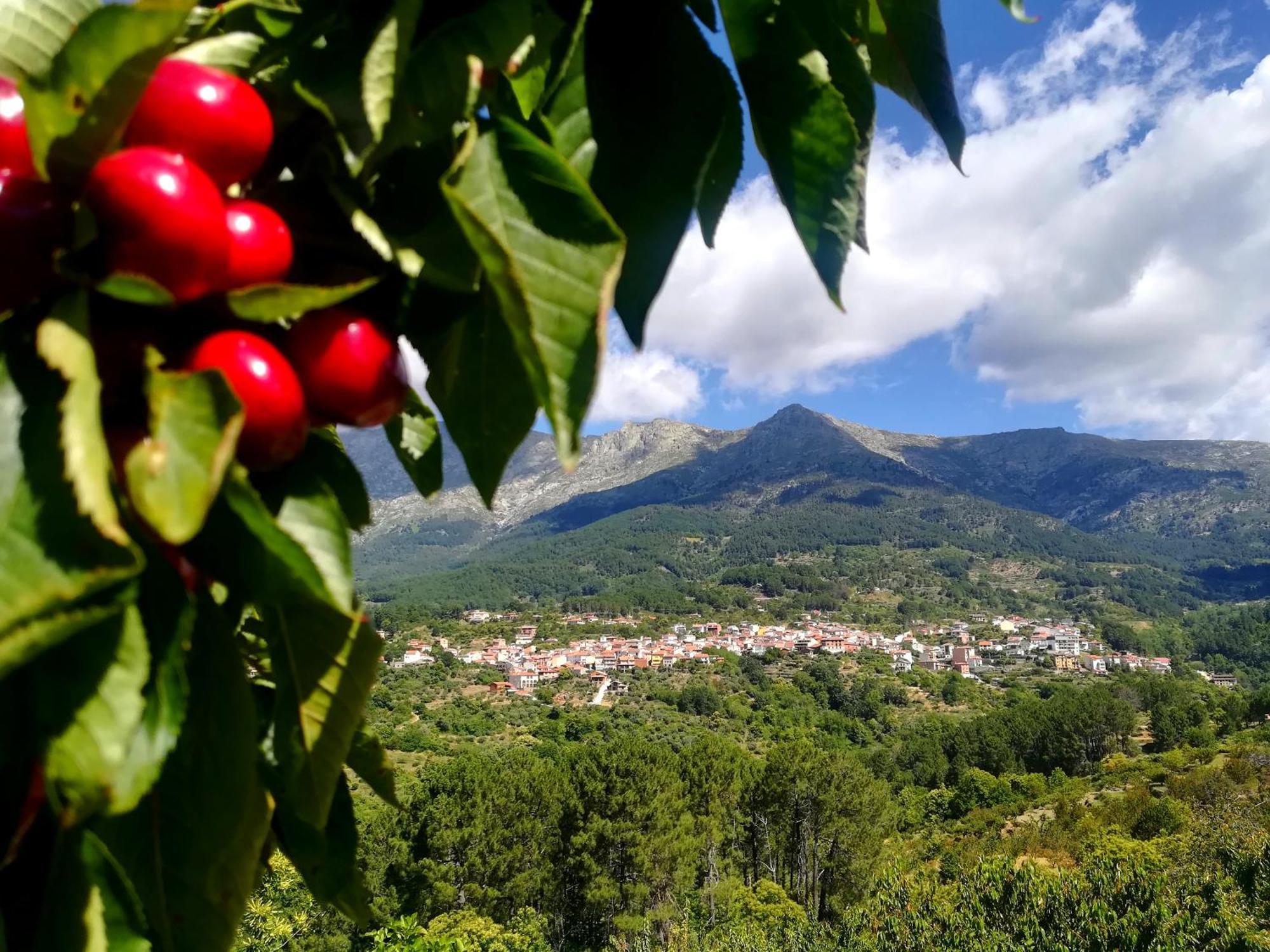 Albareilla By #Cherrygredos El Arenal  Esterno foto