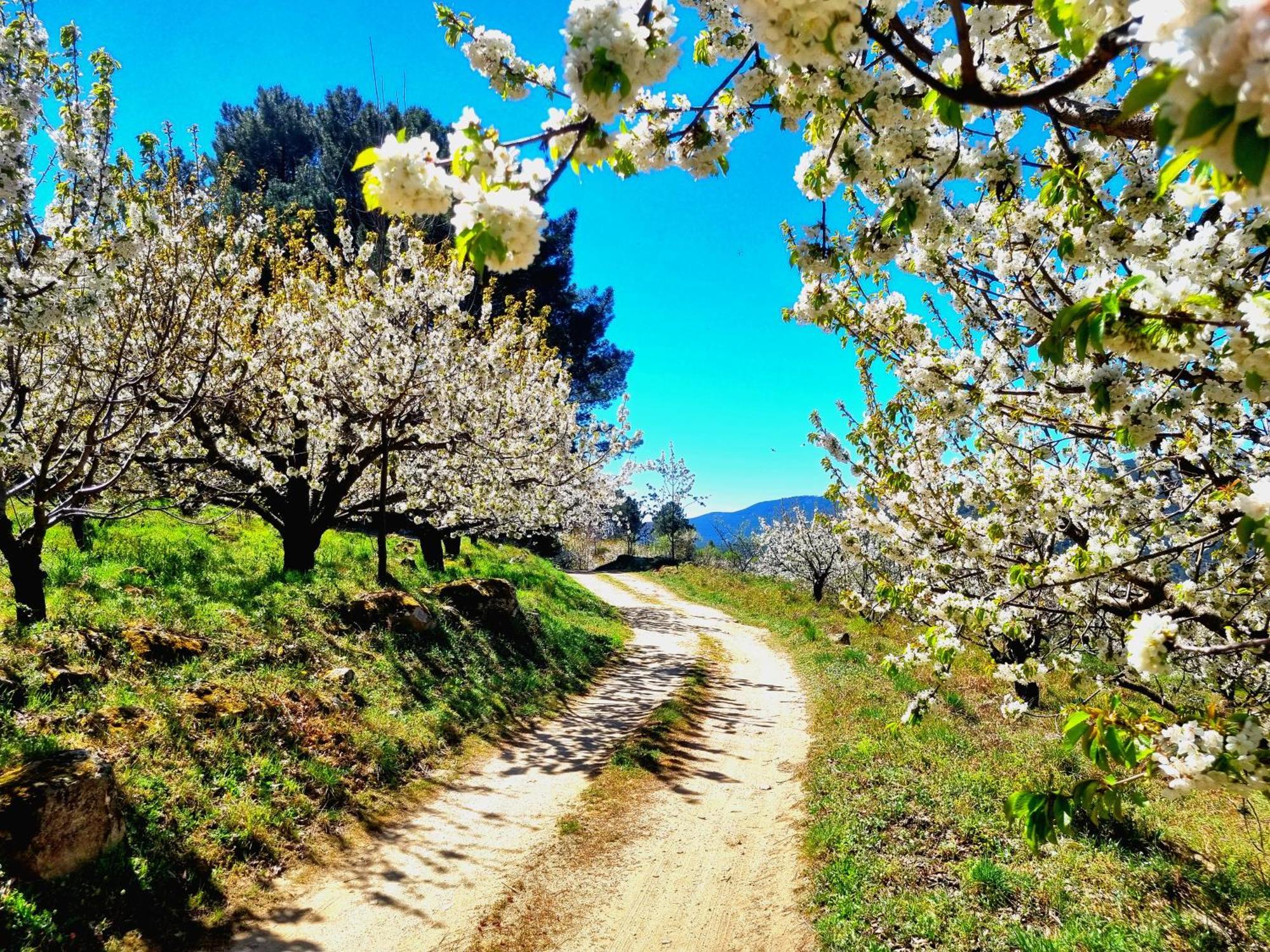 Albareilla By #Cherrygredos El Arenal  Esterno foto