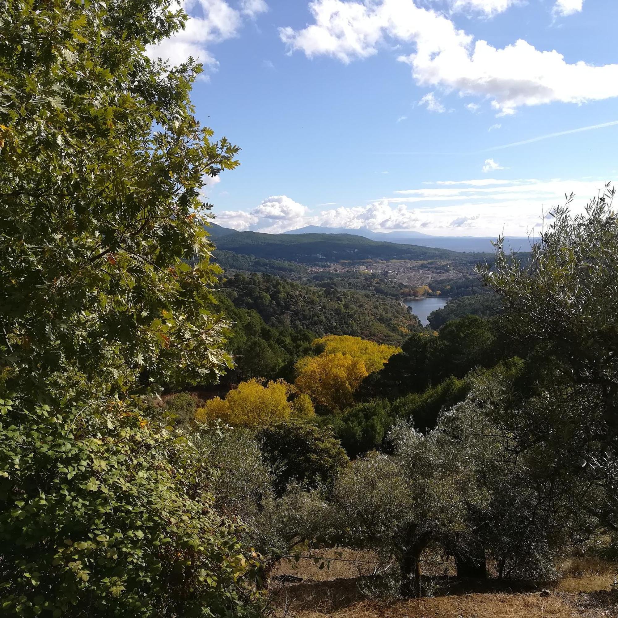 Albareilla By #Cherrygredos El Arenal  Esterno foto