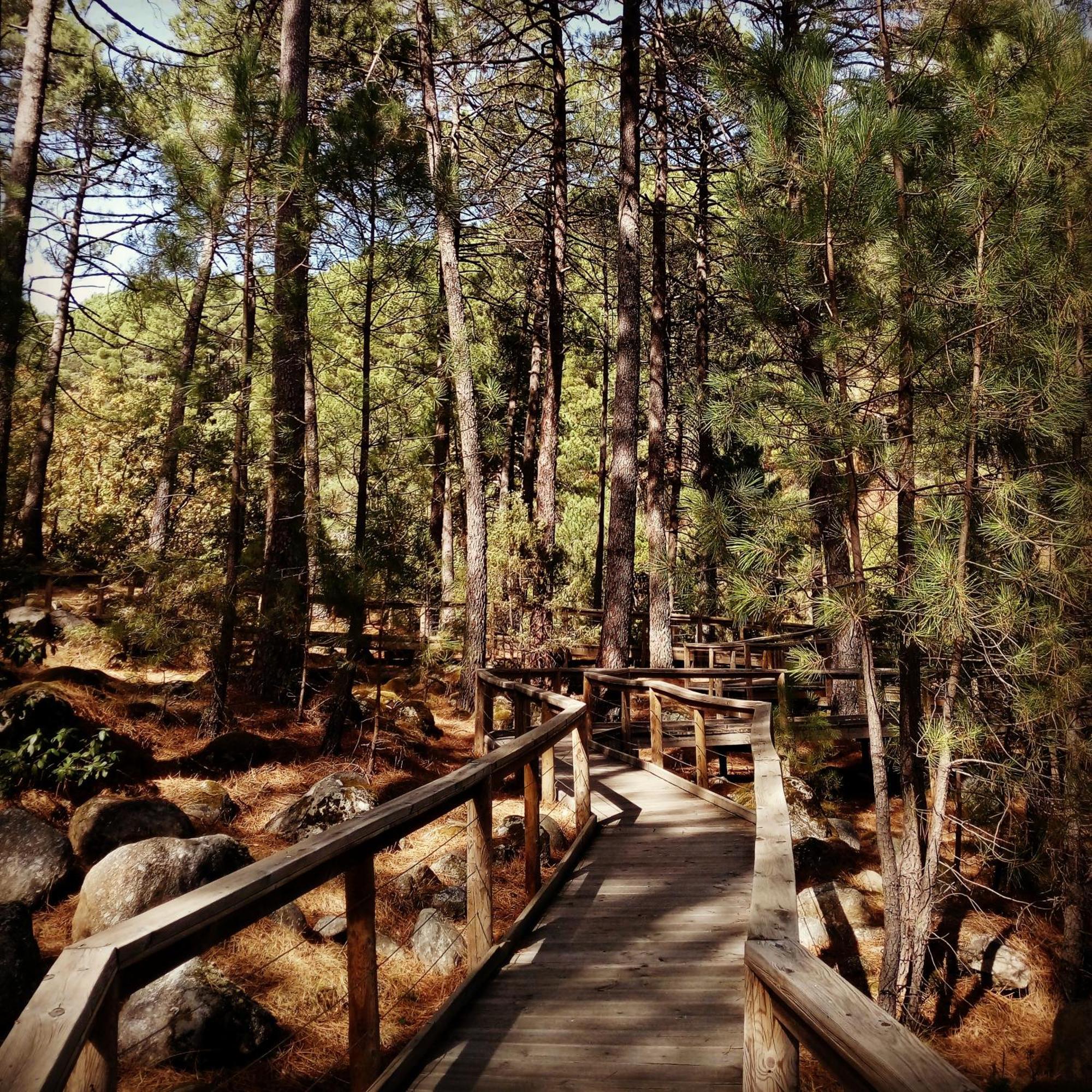 Albareilla By #Cherrygredos El Arenal  Esterno foto