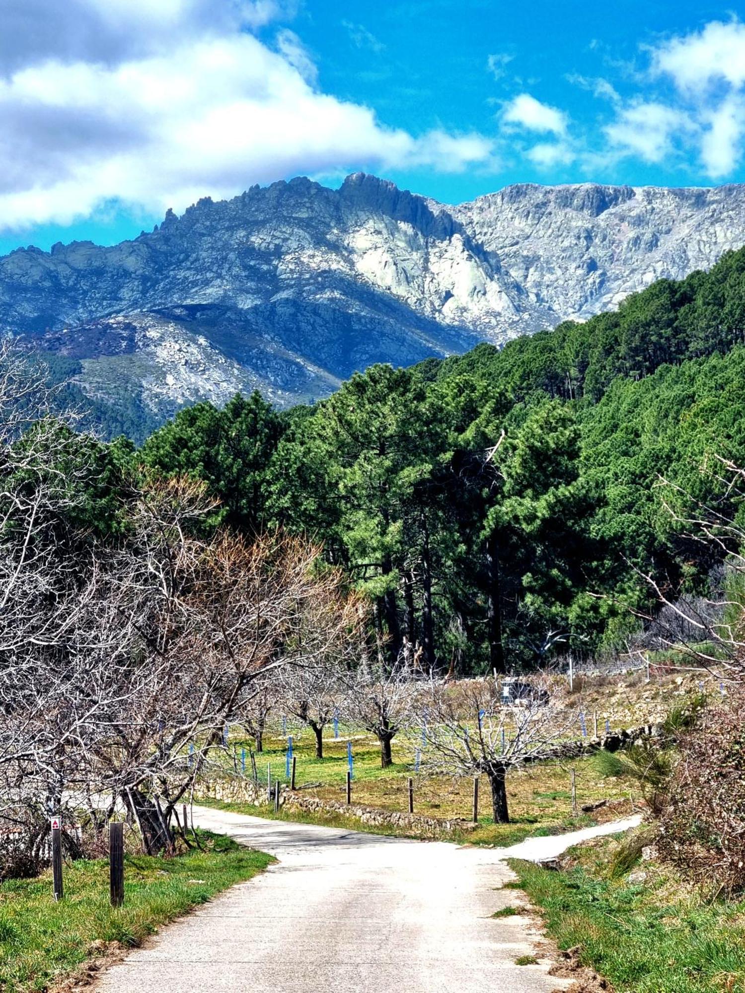 Albareilla By #Cherrygredos El Arenal  Esterno foto