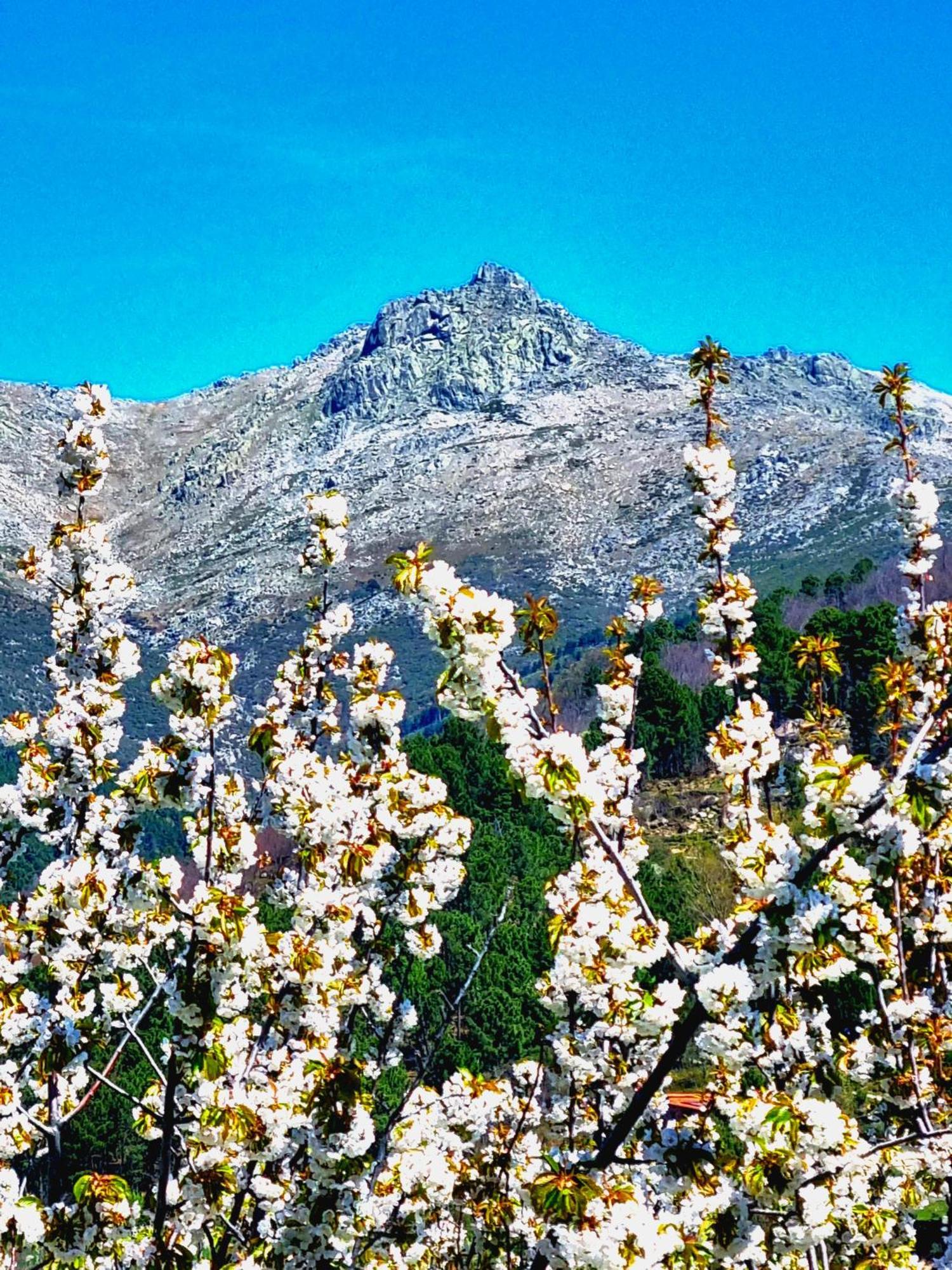 Albareilla By #Cherrygredos El Arenal  Esterno foto