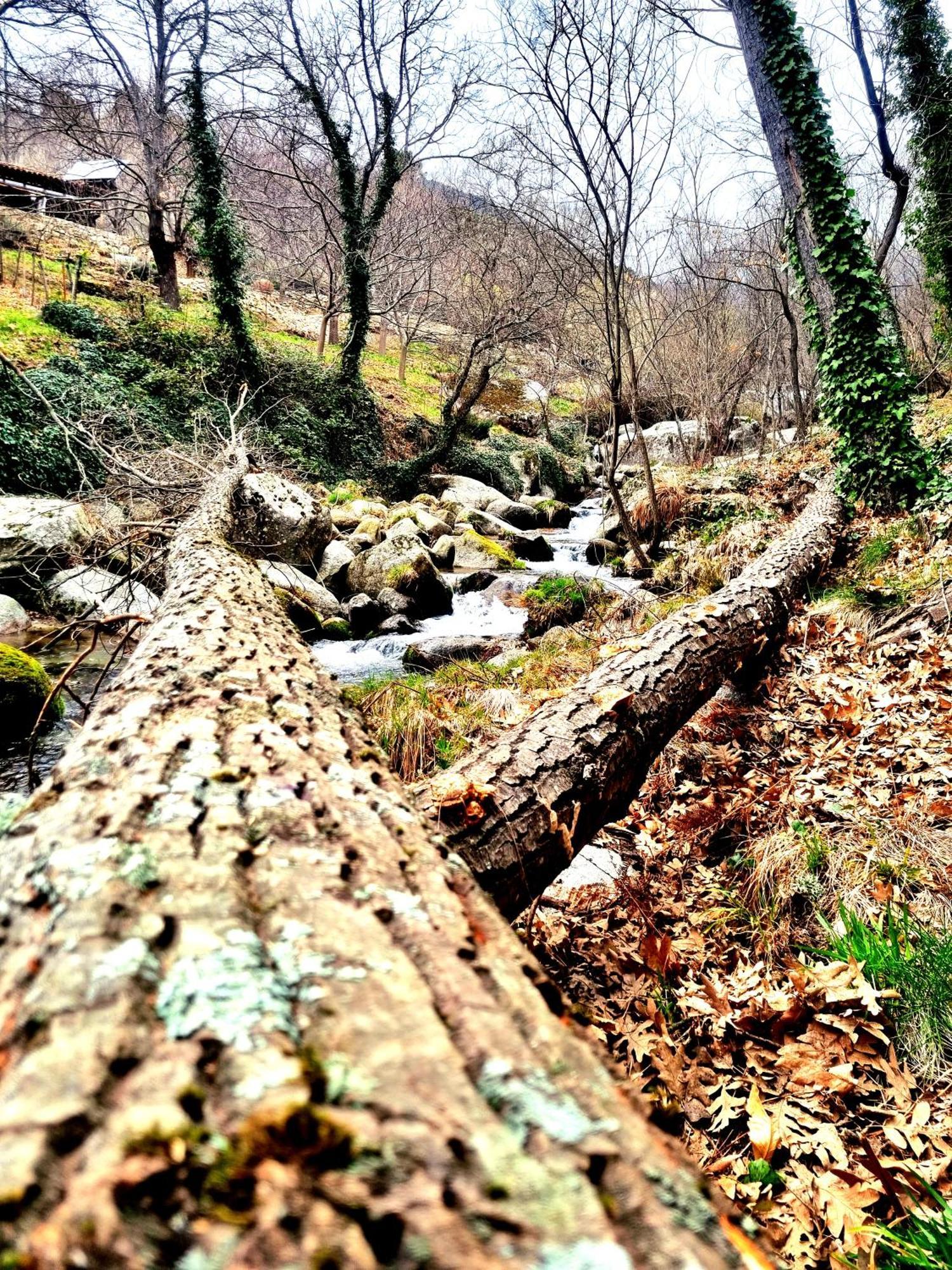 Albareilla By #Cherrygredos El Arenal  Esterno foto