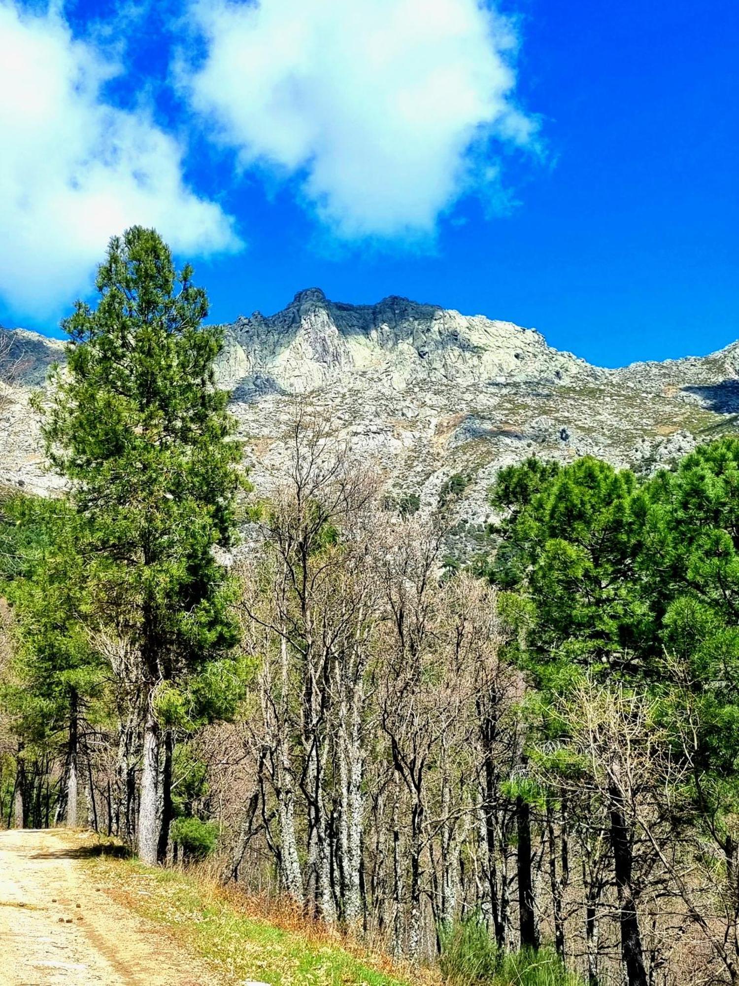 Albareilla By #Cherrygredos El Arenal  Esterno foto